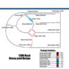 1200 head sheep yard design 600x600