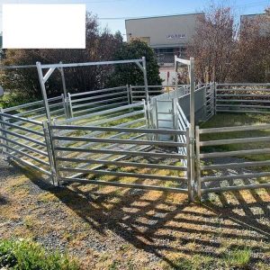 Sheep yard system wpp1607427124188 300x300